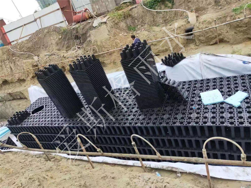 泰州中國醫藥城實驗小學110T
